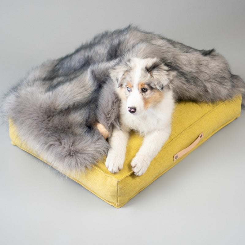 FÖRA - Plaid en fourrure pour chien