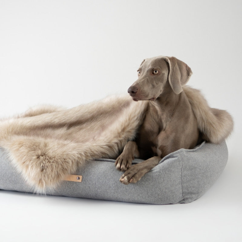 Plaid en Fourrure pour Chien Couverture