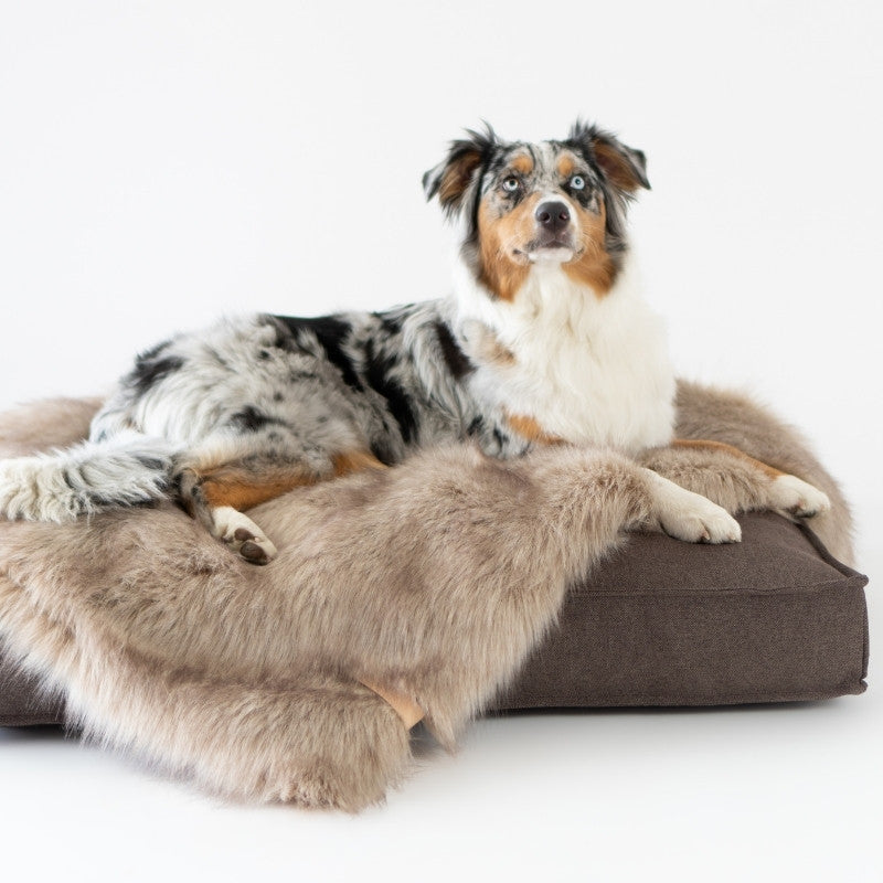 FÖRA - Plaid en fourrure pour chien