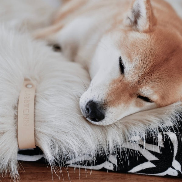 FÖRA - Plaid en fourrure pour chien