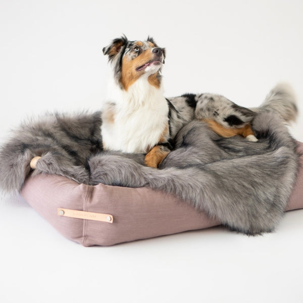 FÖRA - Plaid en fourrure pour chien