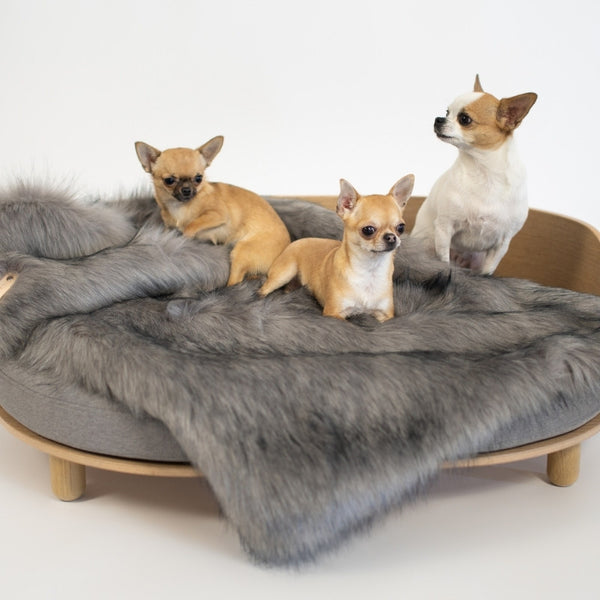 FÖRA - Plaid en fourrure pour chien