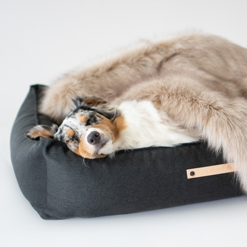 FÖRA - Plaid en fourrure pour chien