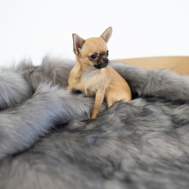 FÖRA - Plaid en fourrure pour chien