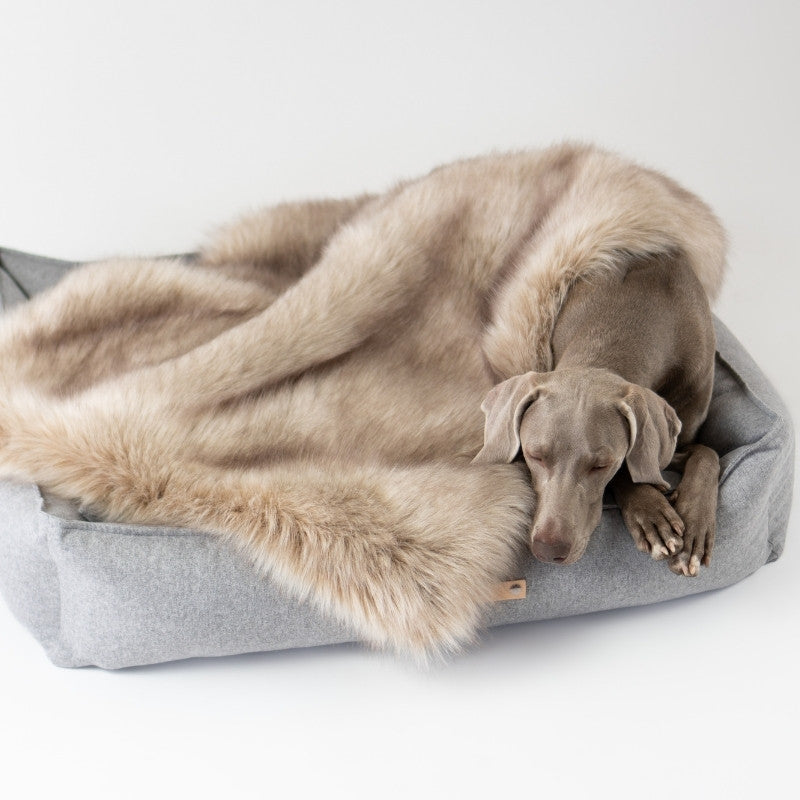 FÖRA - Plaid en fourrure pour chien