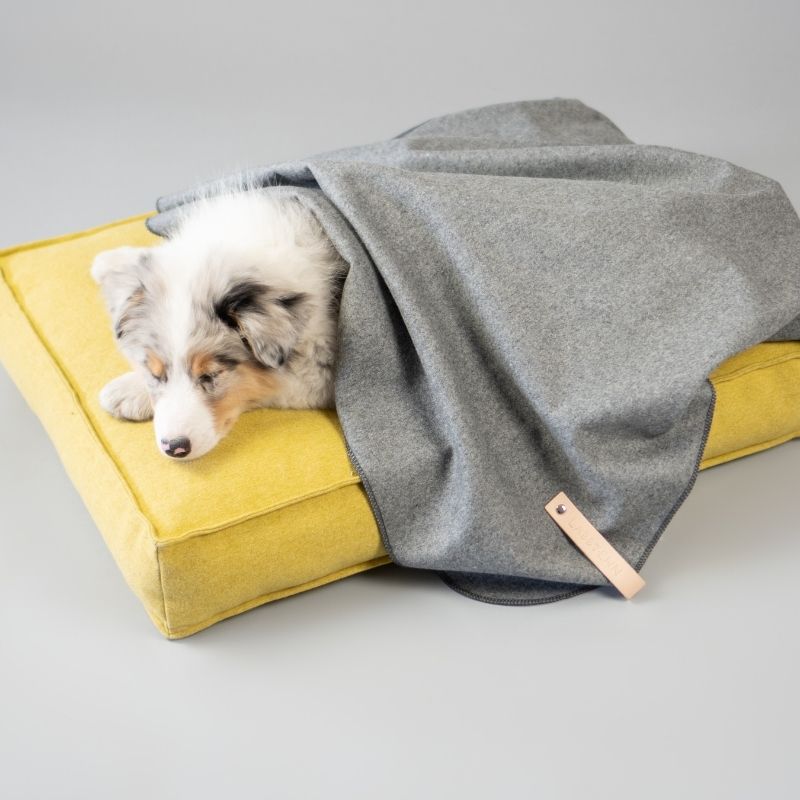 ASNEN - Plaid pour chien gris