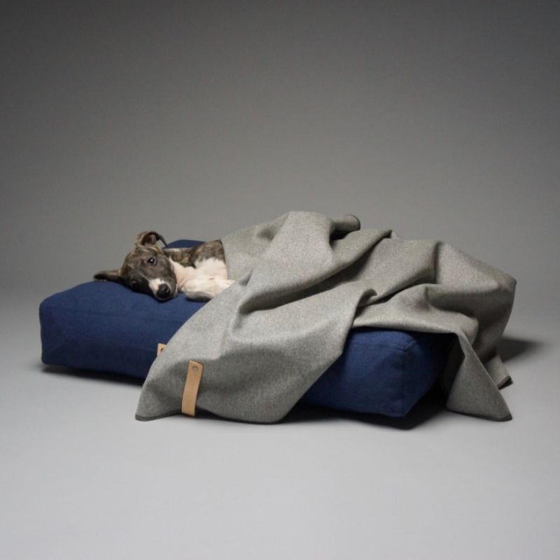 ASNEN - Plaid pour chien gris