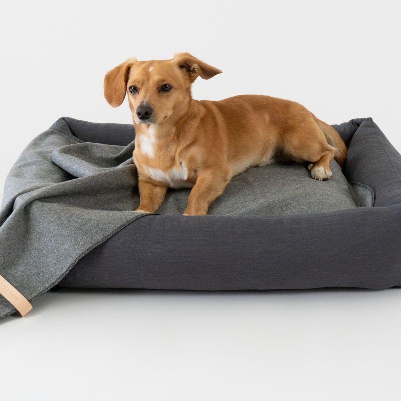 ASNEN - Plaid pour chien gris