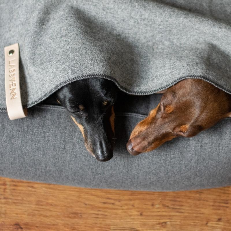 ASNEN - Plaid pour chien gris