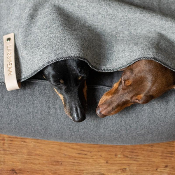 ASNEN - Plaid pour chien gris