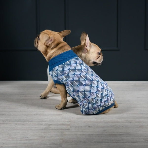 PULLO - Pull pour chien