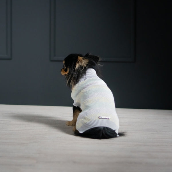 PULLO - Pull pour chien