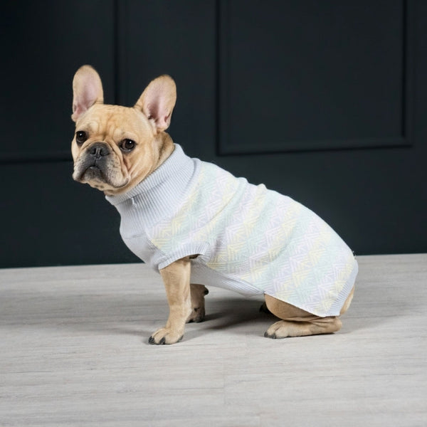 PULLO - Pull pour chien