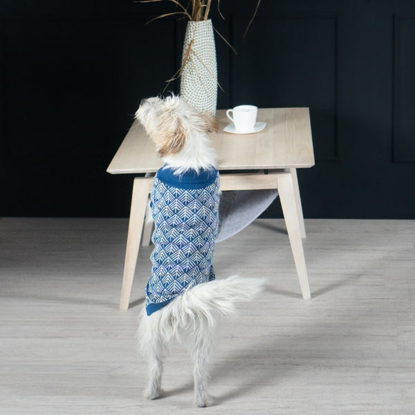 PULLO - Pull pour chien