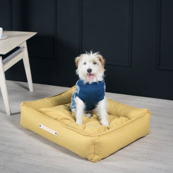 PULLO - Pull pour chien