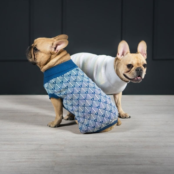 PULLO - Pull pour chien