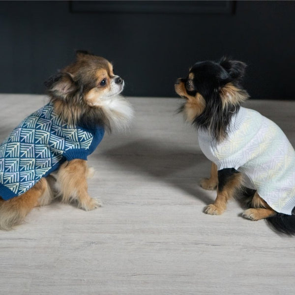 PULLO - Pull pour chien