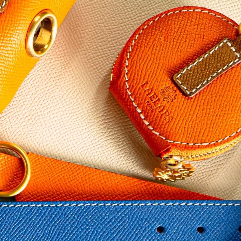 PARIS - Sac à friandises pour chien