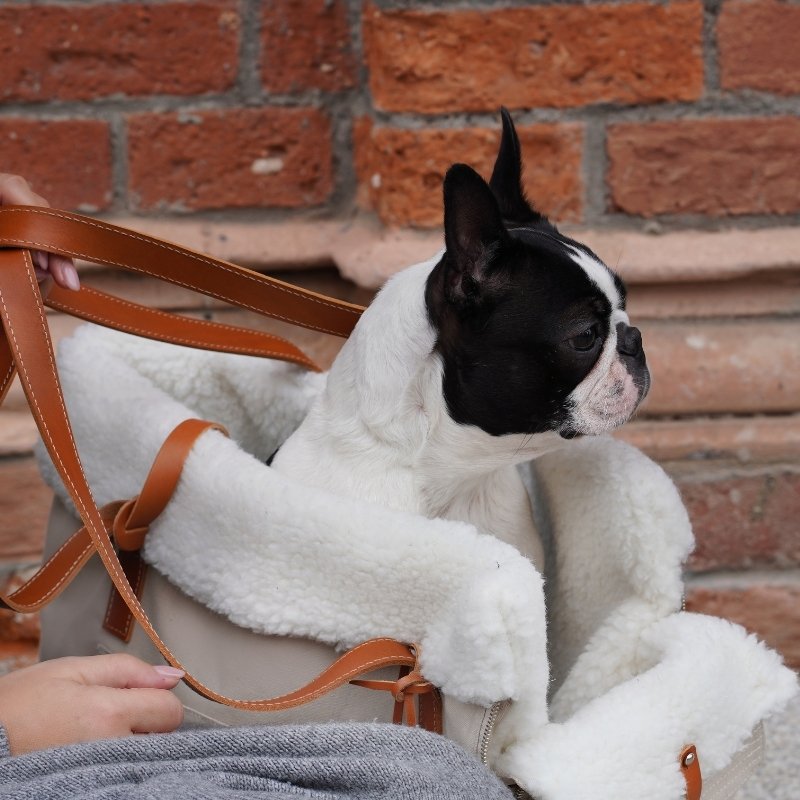 LIIVA - Sac de transport pour petit chien