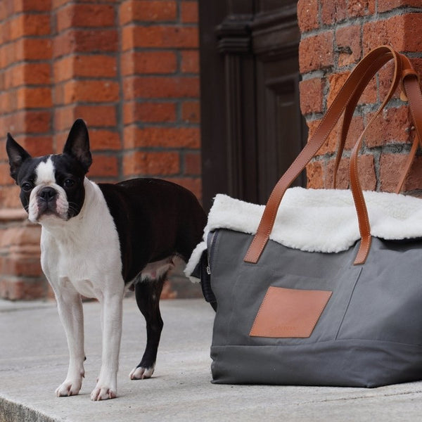 LIIVA - Sac de transport pour petit chien
