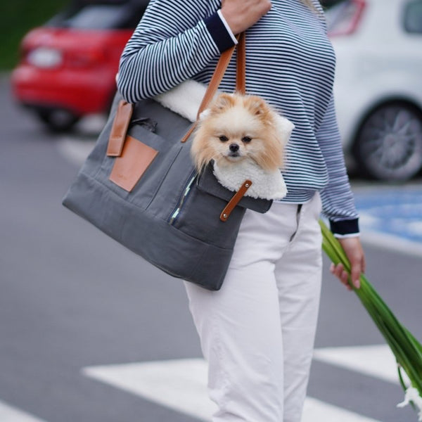 LIIVA - Sac de transport pour petit chien