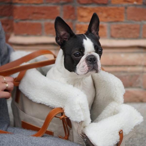 LIIVA - Sac de transport pour petit chien