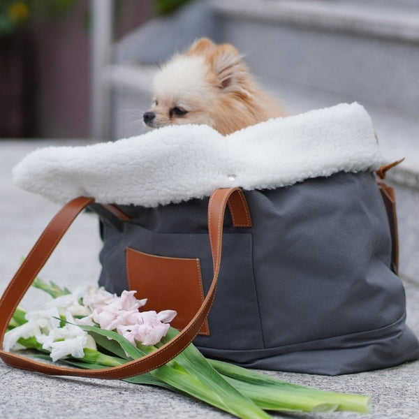 LIIVA - Sac de transport pour petit chien