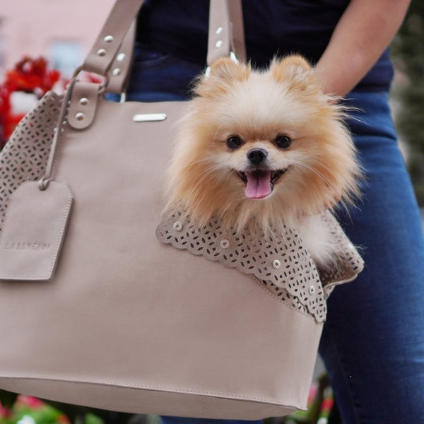 ELVA - Leather pet carrier bag for small dogs