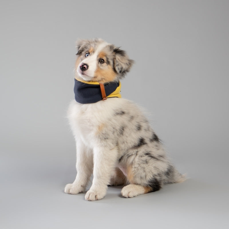 SIMO - Snood pour chien