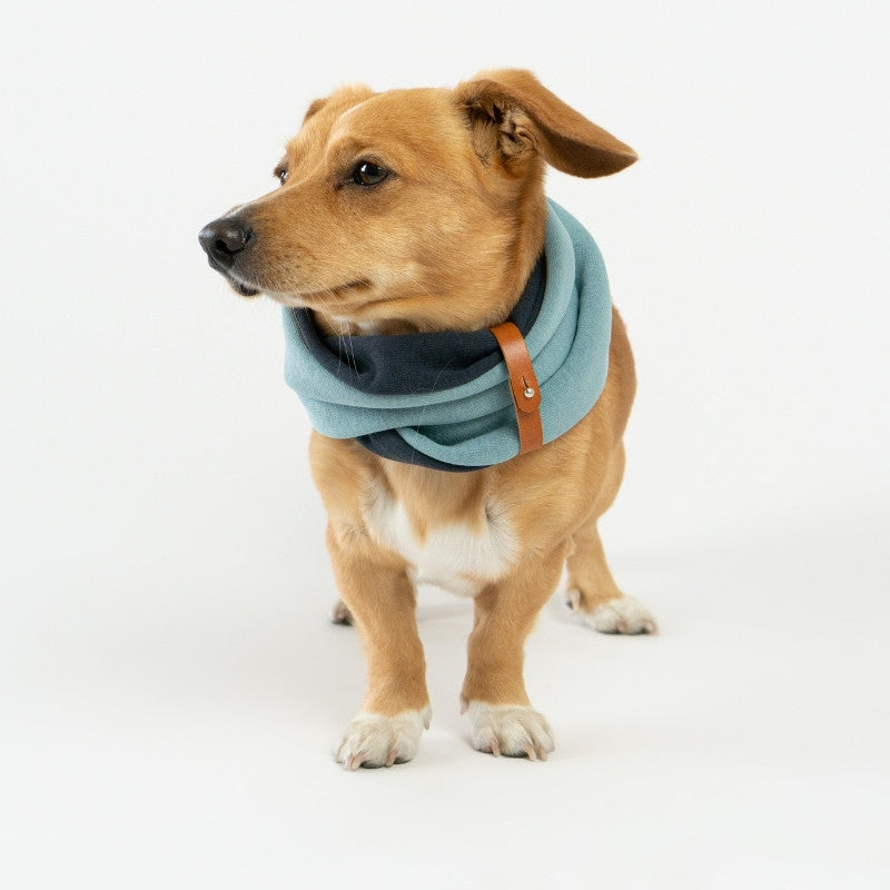 SIMO - Snood pour chien