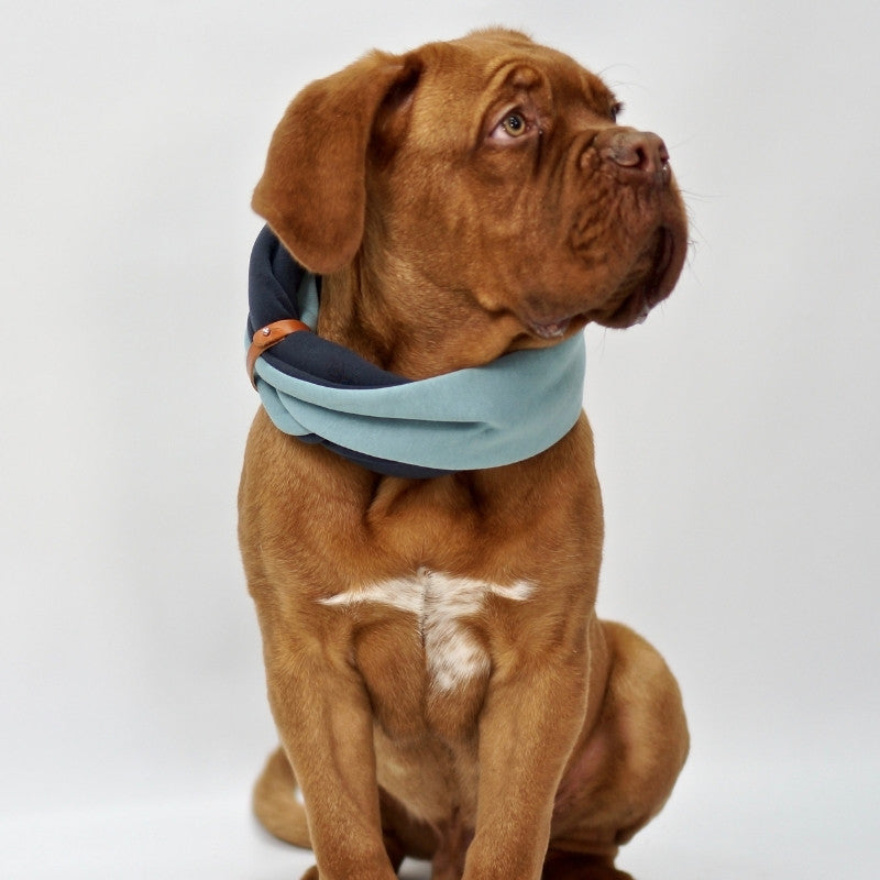 SIMO - Snood pour chien