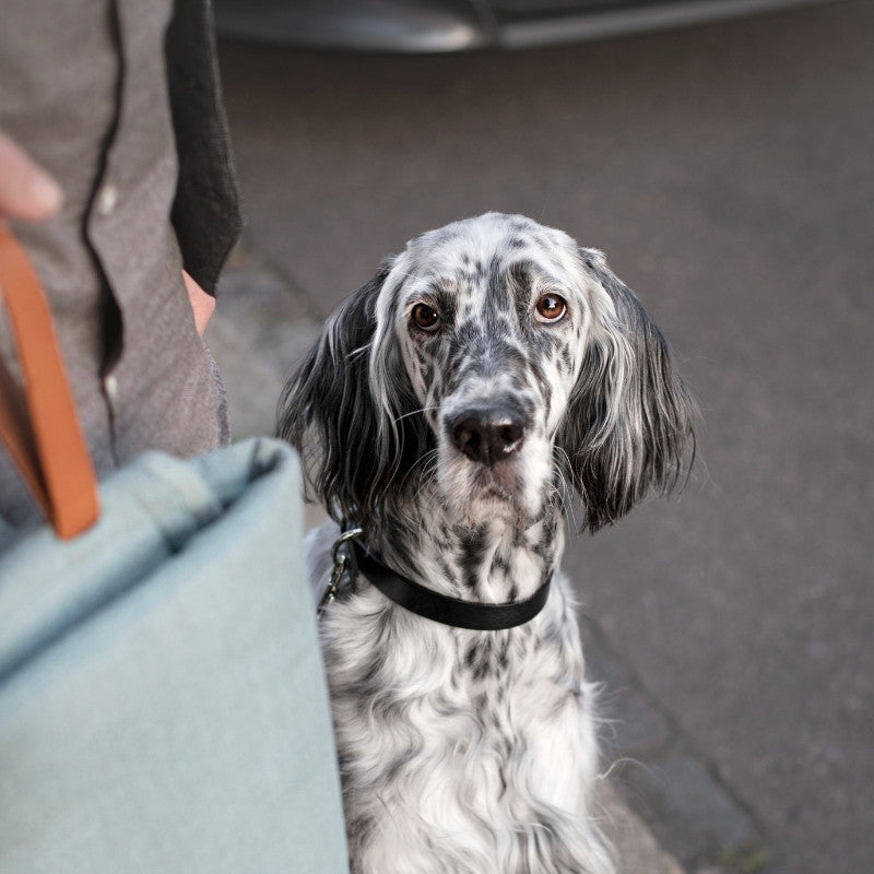 OKKA - Tapis de voyage pour chien