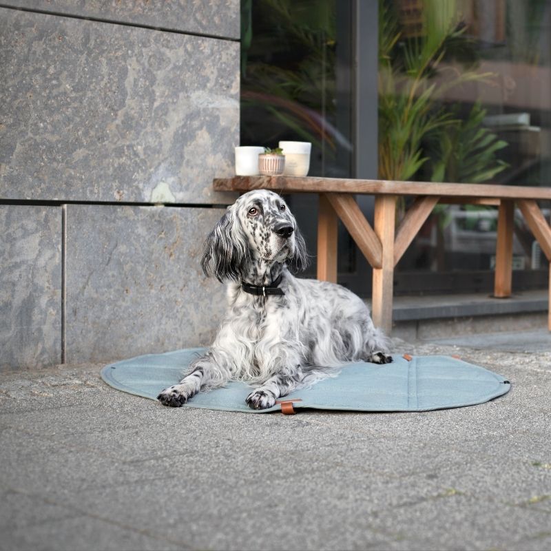 OKKA - Tapis de voyage pour chien