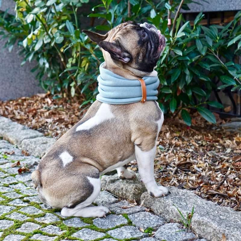 INKO - Tour de cou pour chien