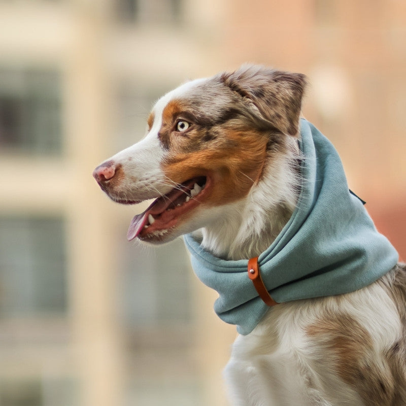INKO - Tour de cou pour chien