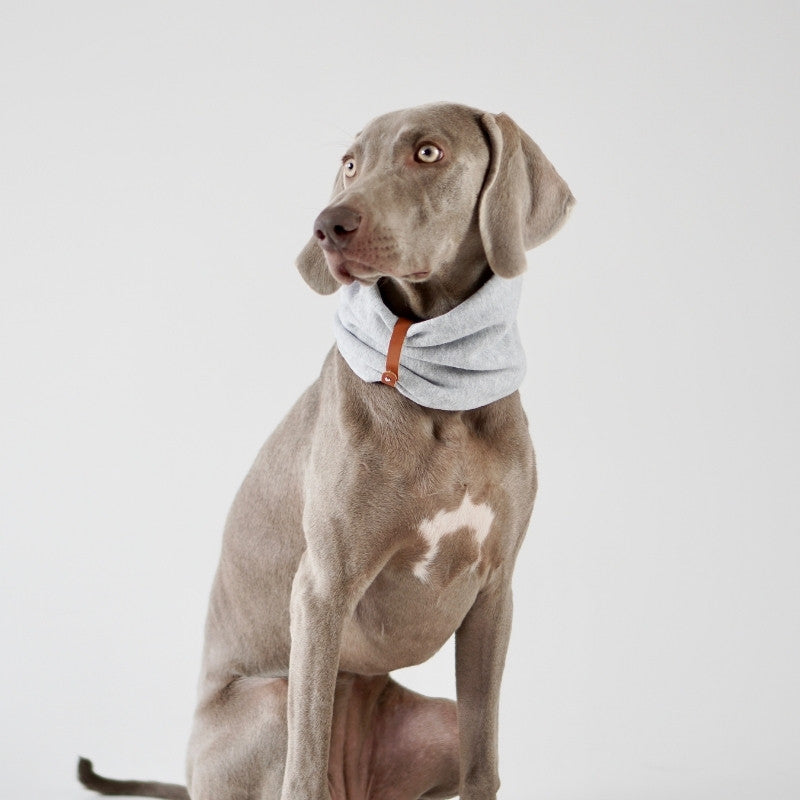 INKO - Tour de cou pour chien