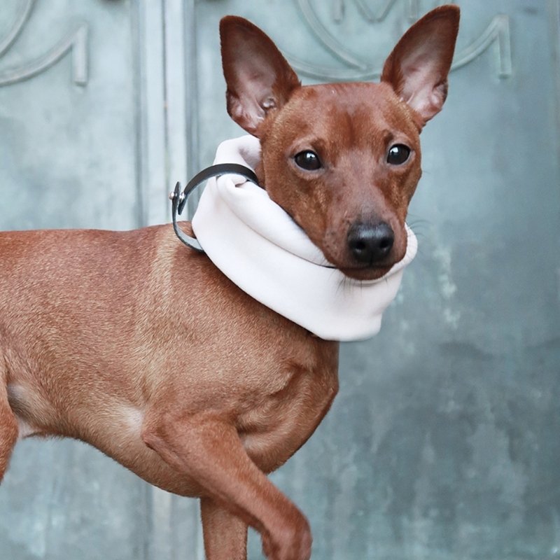 INKO - Tour de cou pour chien