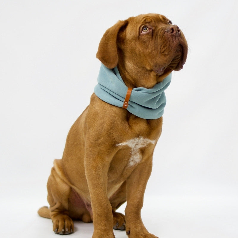 INKO - Tour de cou pour chien