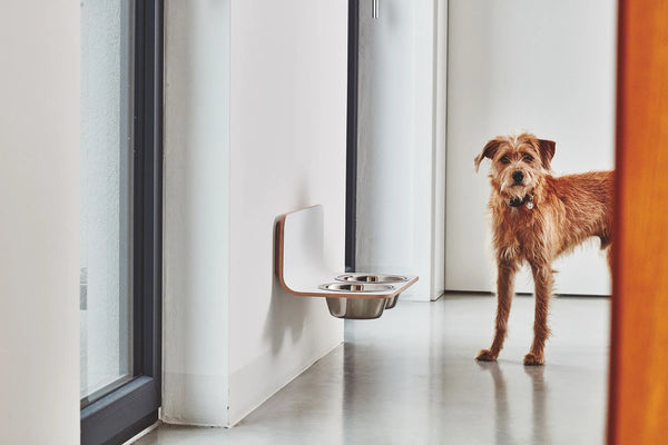 ARCO — Porte-gamelle mural design pour chien gris