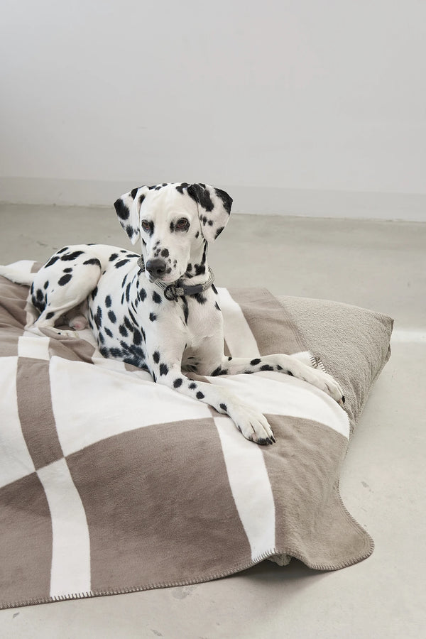 BLOCCO — Le plaid en coton à motif blocs pour chien