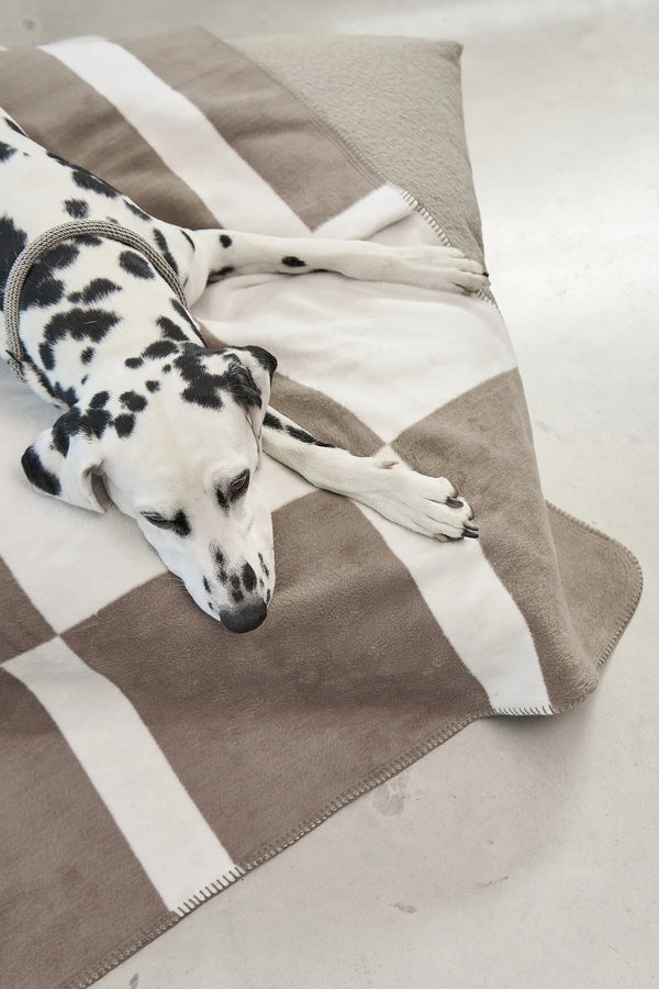 BLOCCO — Le plaid en coton à motif blocs pour chien