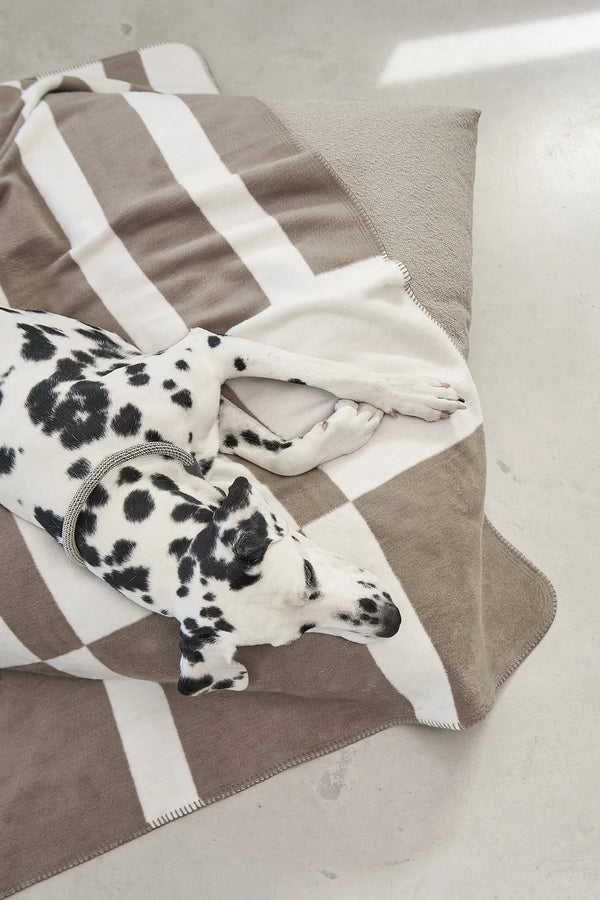 BLOCCO — Le plaid en coton à motif blocs pour chien