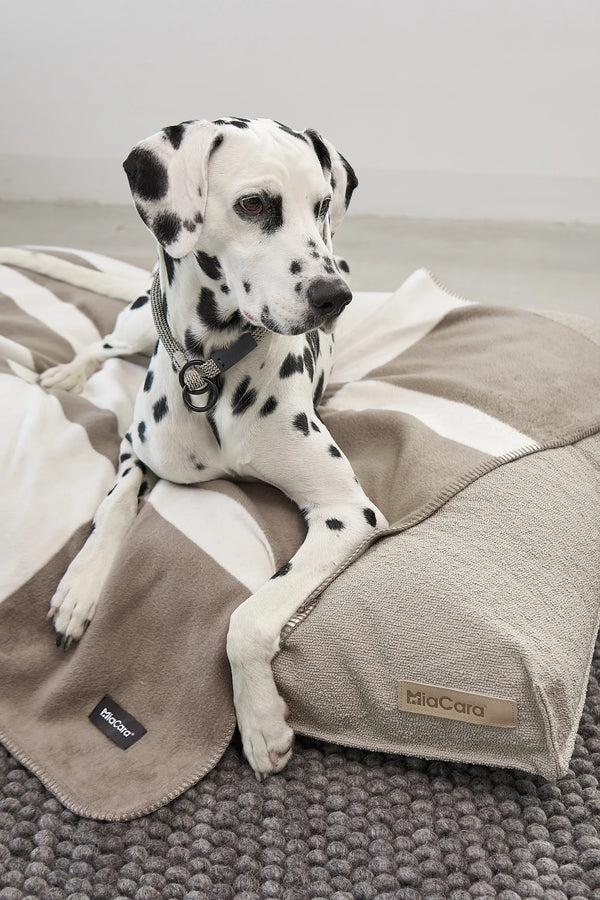 BLOCCO — Le plaid en coton à motif blocs pour chien