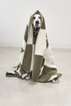 Blocco – dalmatien enveloppé dans le plaid vert olive – Maison Canisya