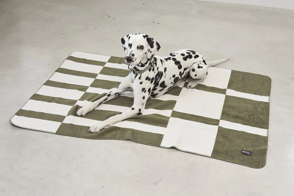 BLOCCO — Le plaid en coton à motif blocs pour chien