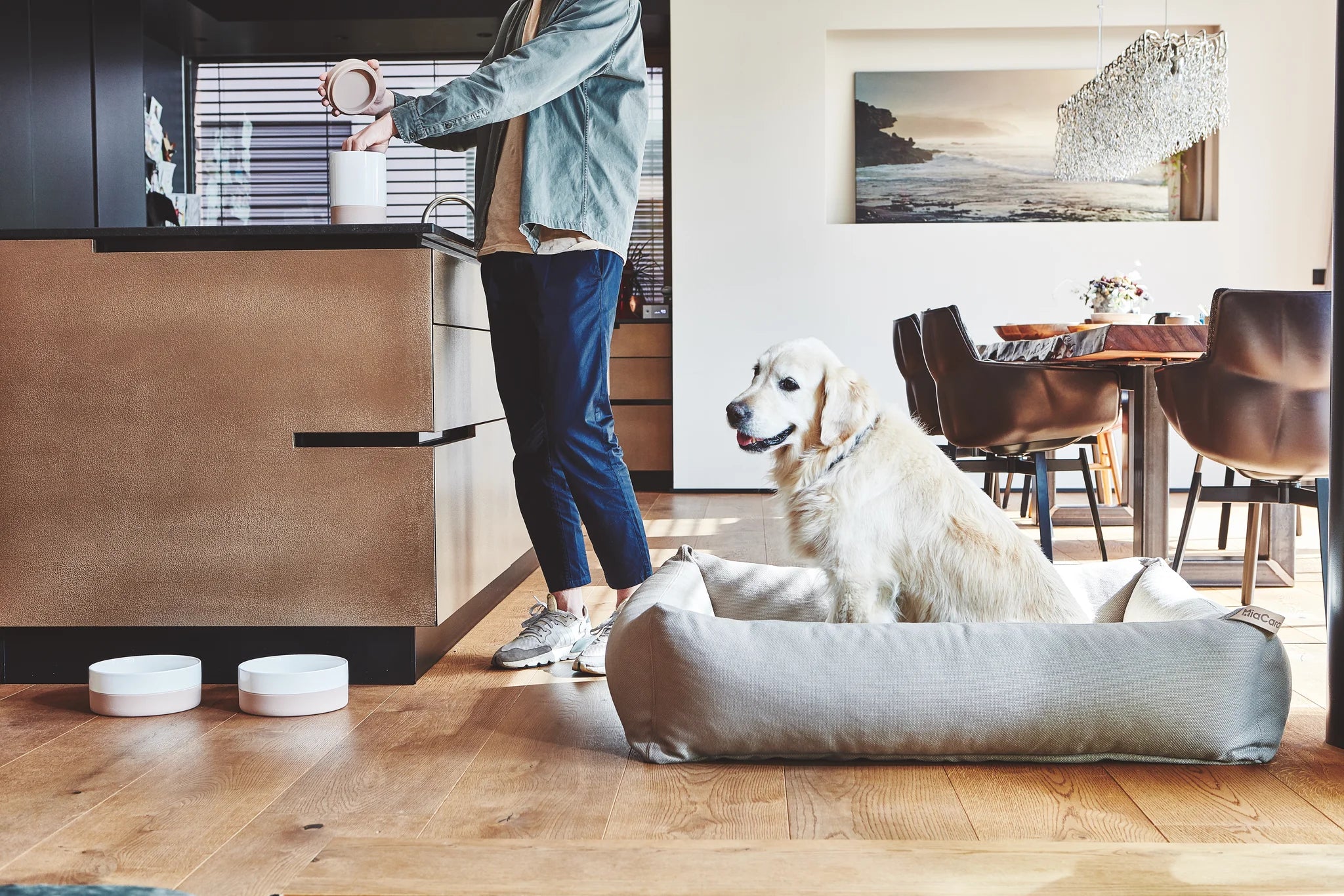 Bocal à friandises Coppa – bocal posé sur un comptoir de cuisine design, golden retriever en arrière-plan – Maison Canisya