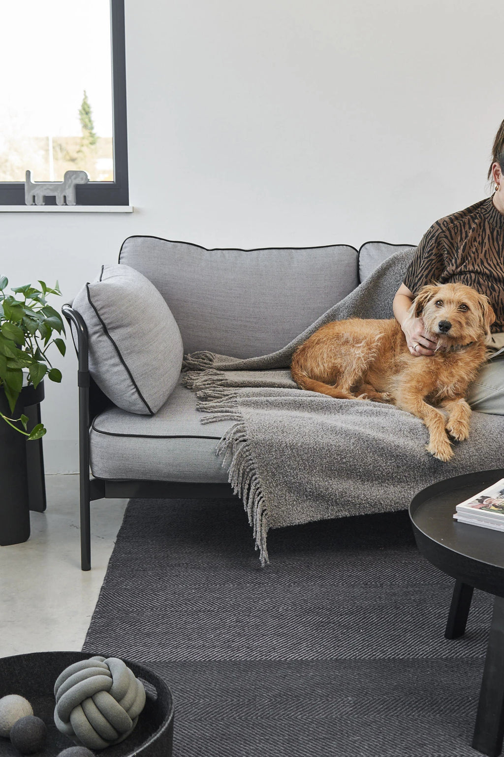 Buccola – couverture grise sur canapé avec chien caressé par sa maîtresse – Maison Canisya