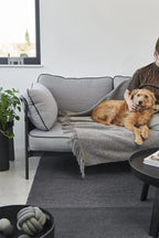 Buccola – couverture grise sur canapé avec chien caressé par sa maîtresse – Maison Canisya