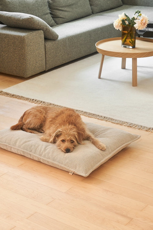Campo — chien confortablement installé sur le coussin, coloris Greige — Maison Canisya