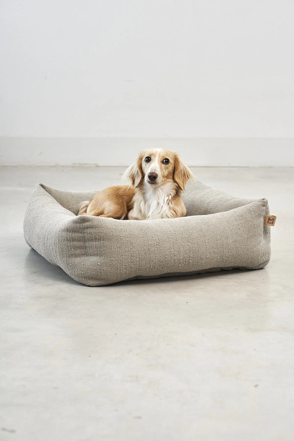 CAMPO — Panier orthopédique cocon pour petit chien